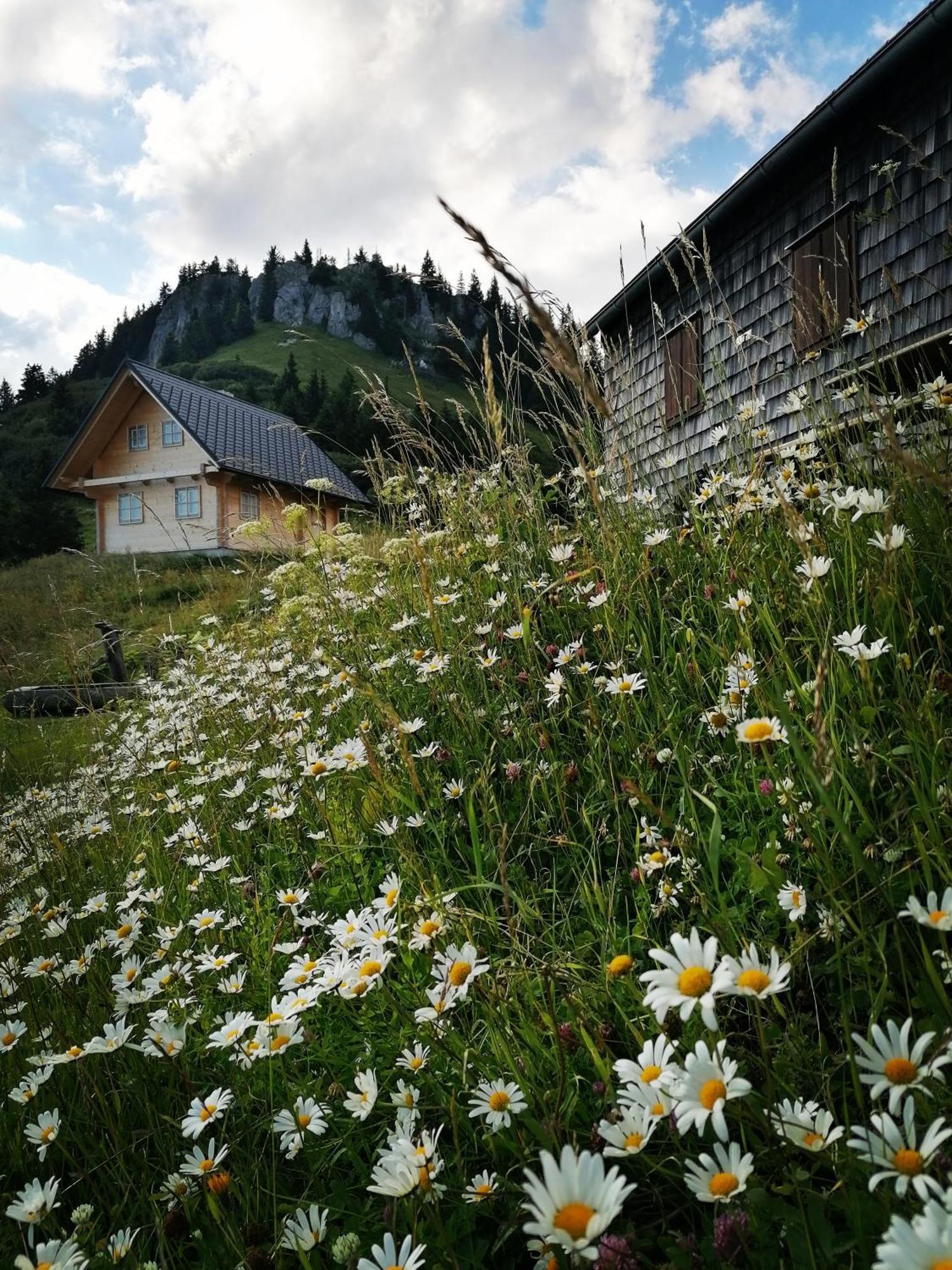 Waldhaus Klein-Veitsch, Auszeit Im Gruenen Apartment Niederaigen Exterior foto